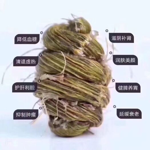 赤水市金钗石斛 基地出售。一手货源。