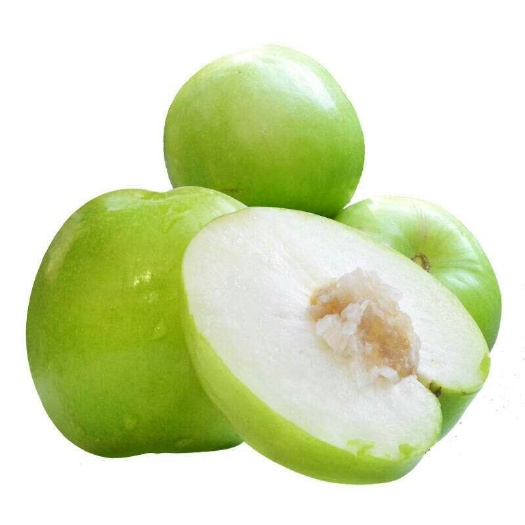 灵山县大青枣苗