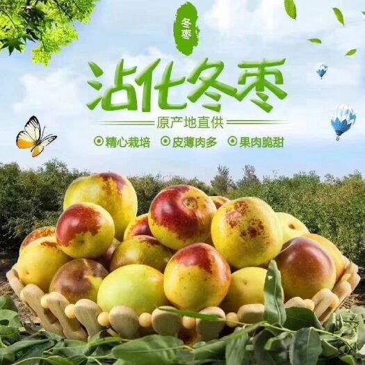 滨州沾化冬枣1号接穗 
认准沾化万亩冬枣园产地直供