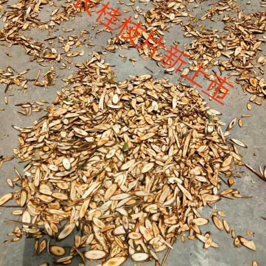 肇庆桂枝