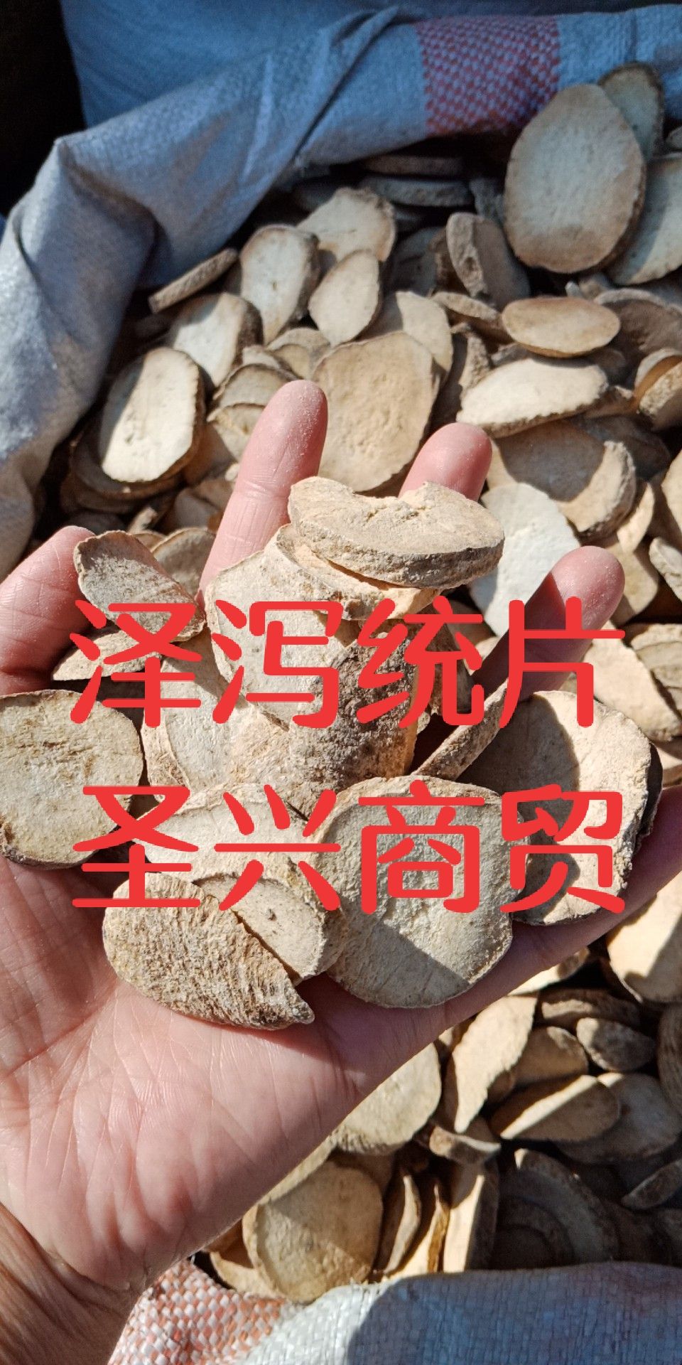 泽泻统片选片各种规格批发零售中药材质量保证