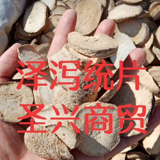 泽泻统片选片各种规格批发零售中药材质量保证
