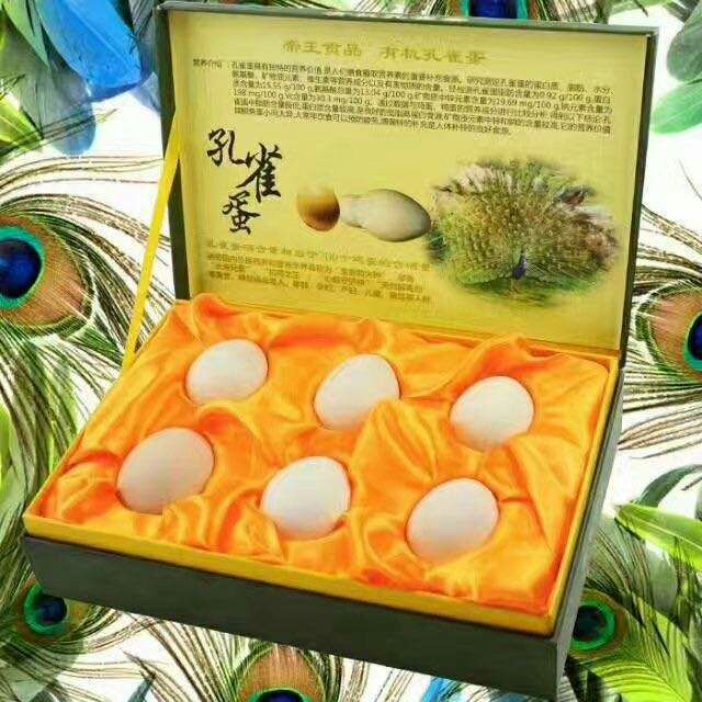 乐安县特种蛋  孔雀蛋 食用，孵化用