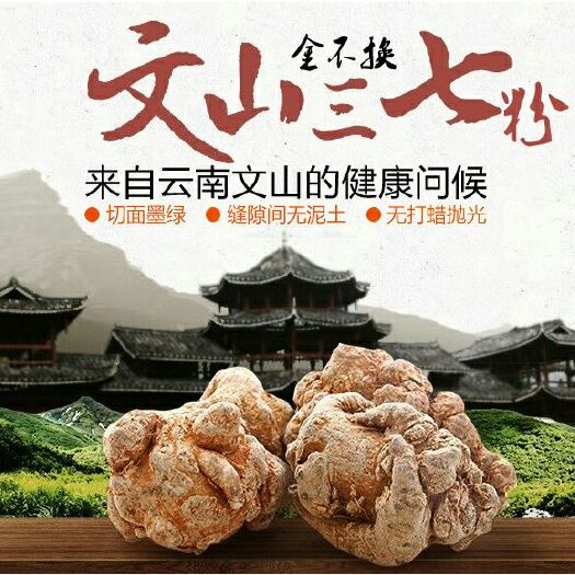 昆明文三七