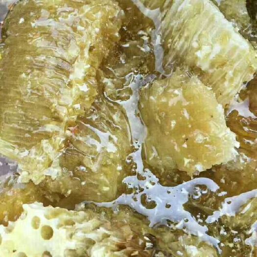 勐腊县土蜂蜜 塑料瓶装 2年以上 98%