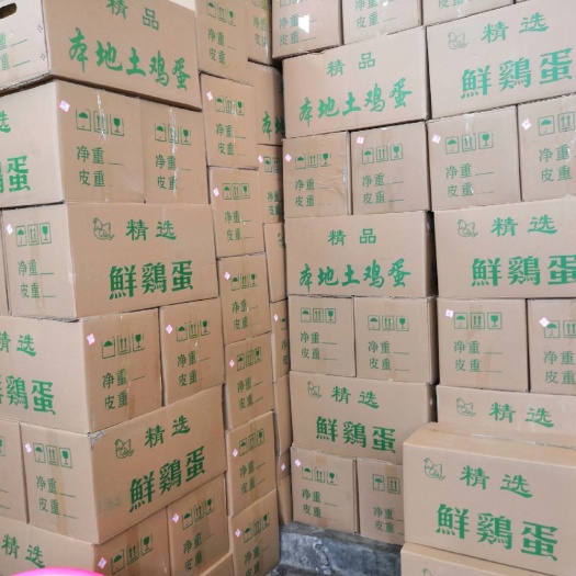 广州土鸡蛋 食用 箱装