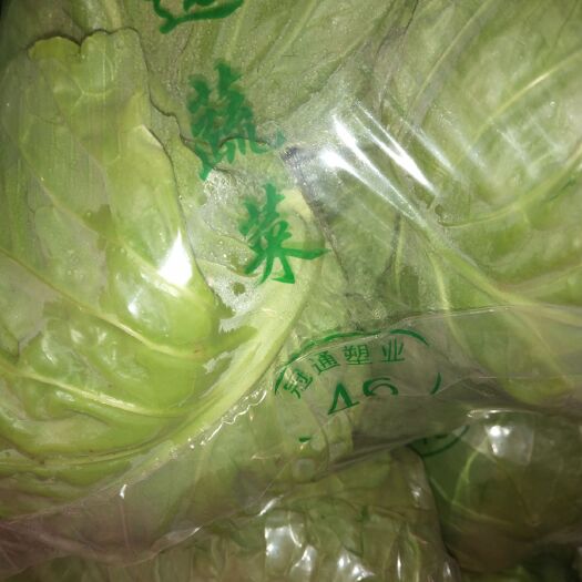 邯郸绿甘蓝 2.0~2.5斤