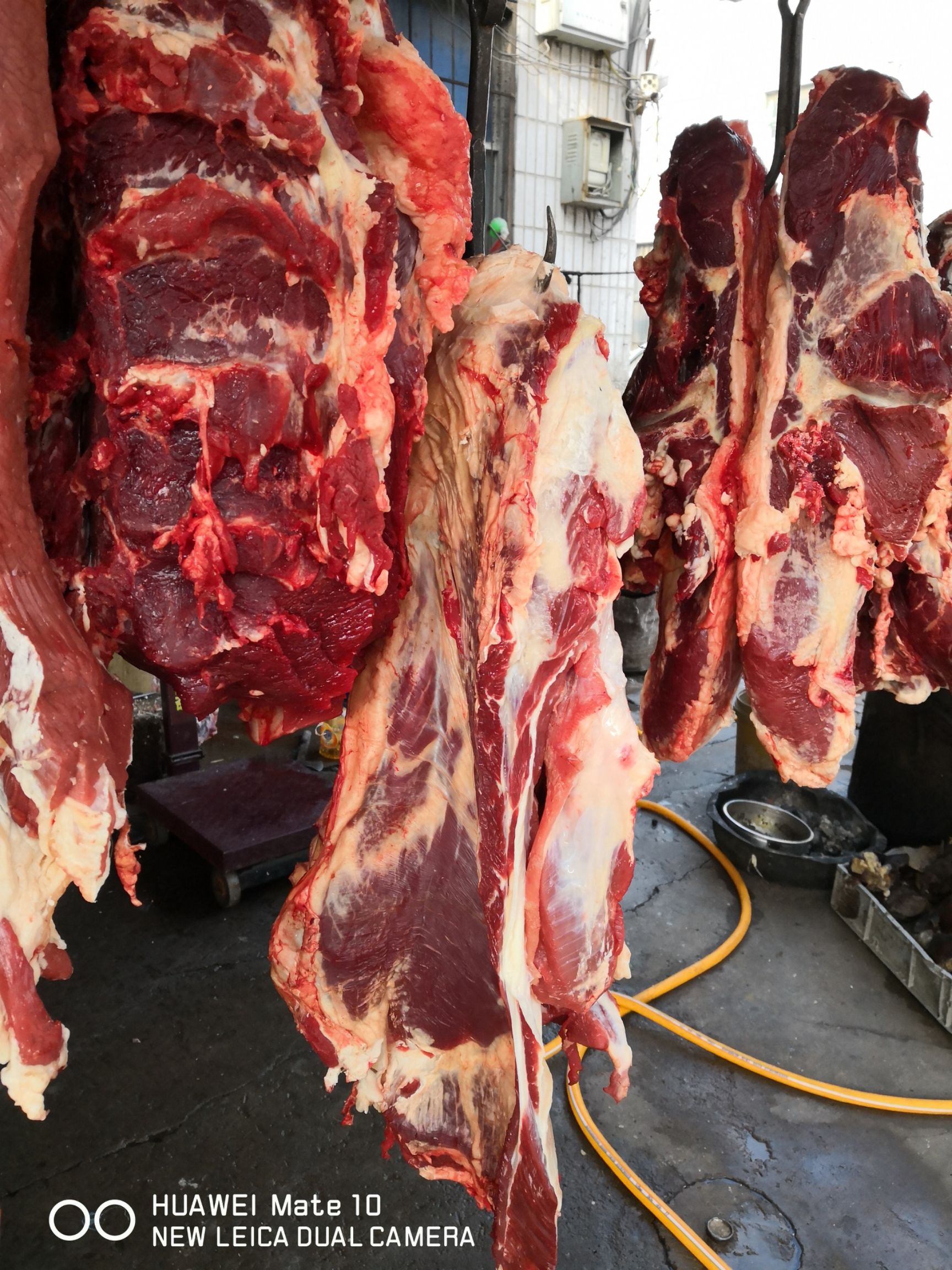 牛肉类 生肉