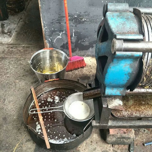 汝城县现榨山茶油
