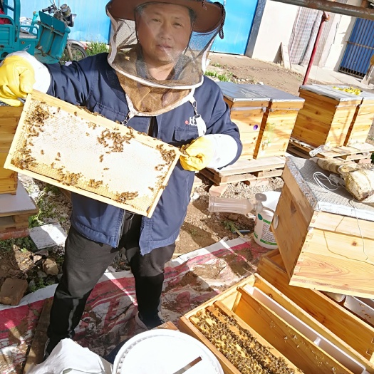 临猗县苹果蜜 塑料瓶装 2年以上 95%以上