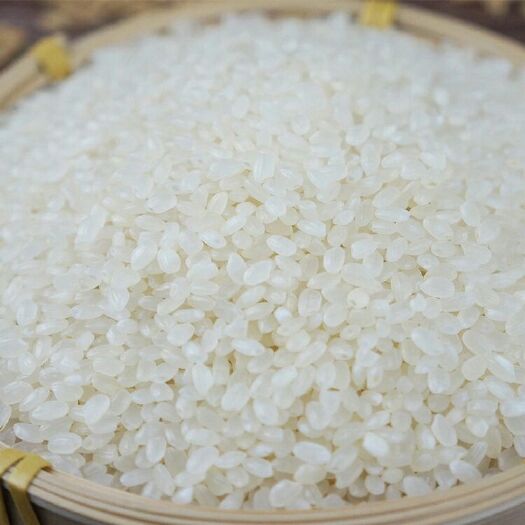 佛山东北大米 一等品 晚稻 粳米