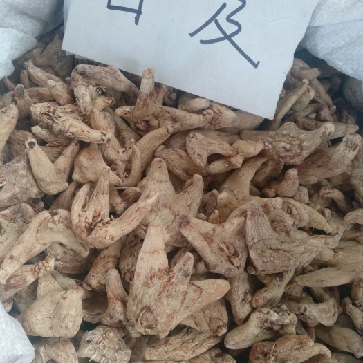 无极县白及