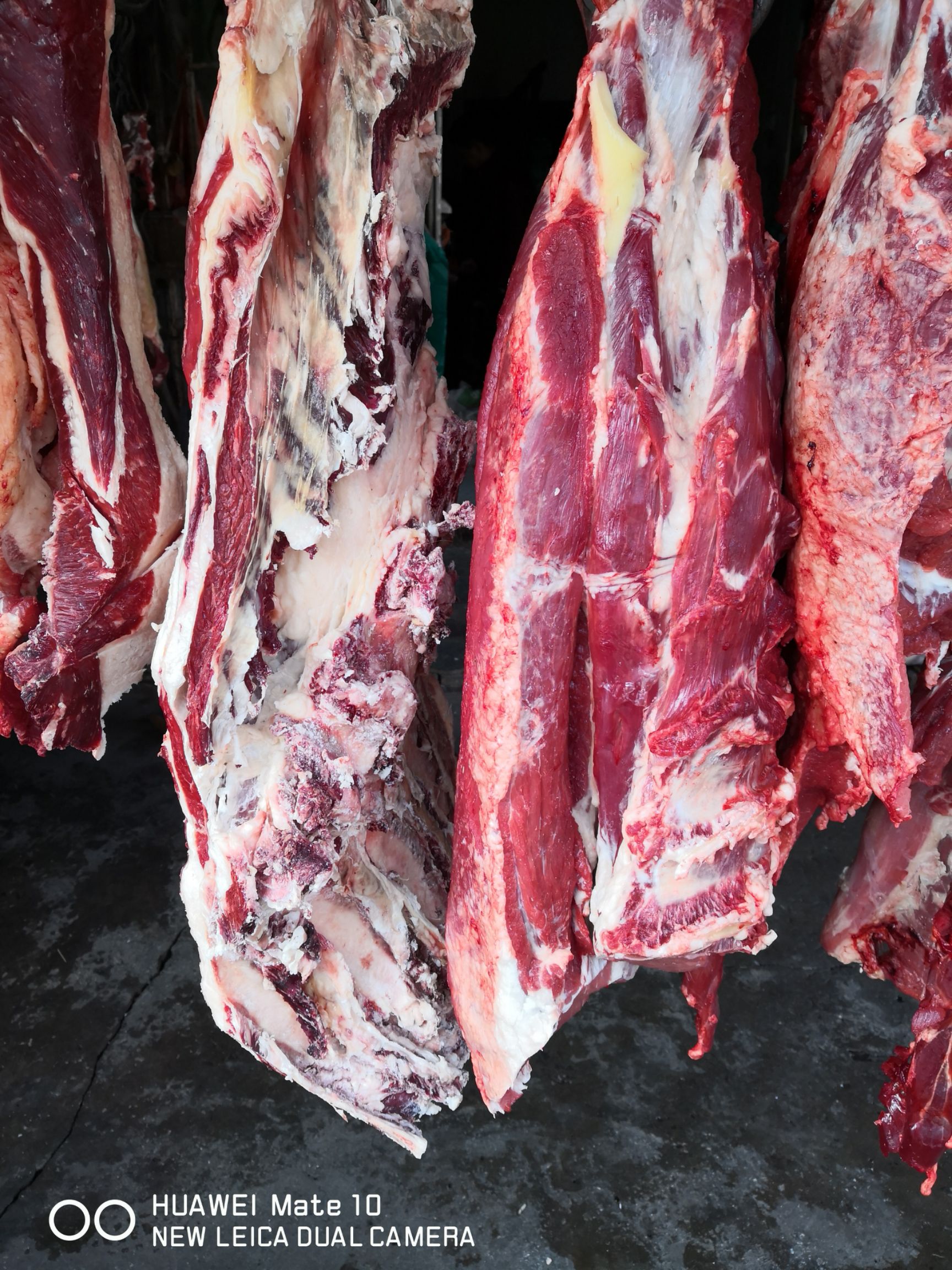 牛肉类 生肉
