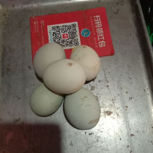 石泉县土鸡蛋 食用 简包装
