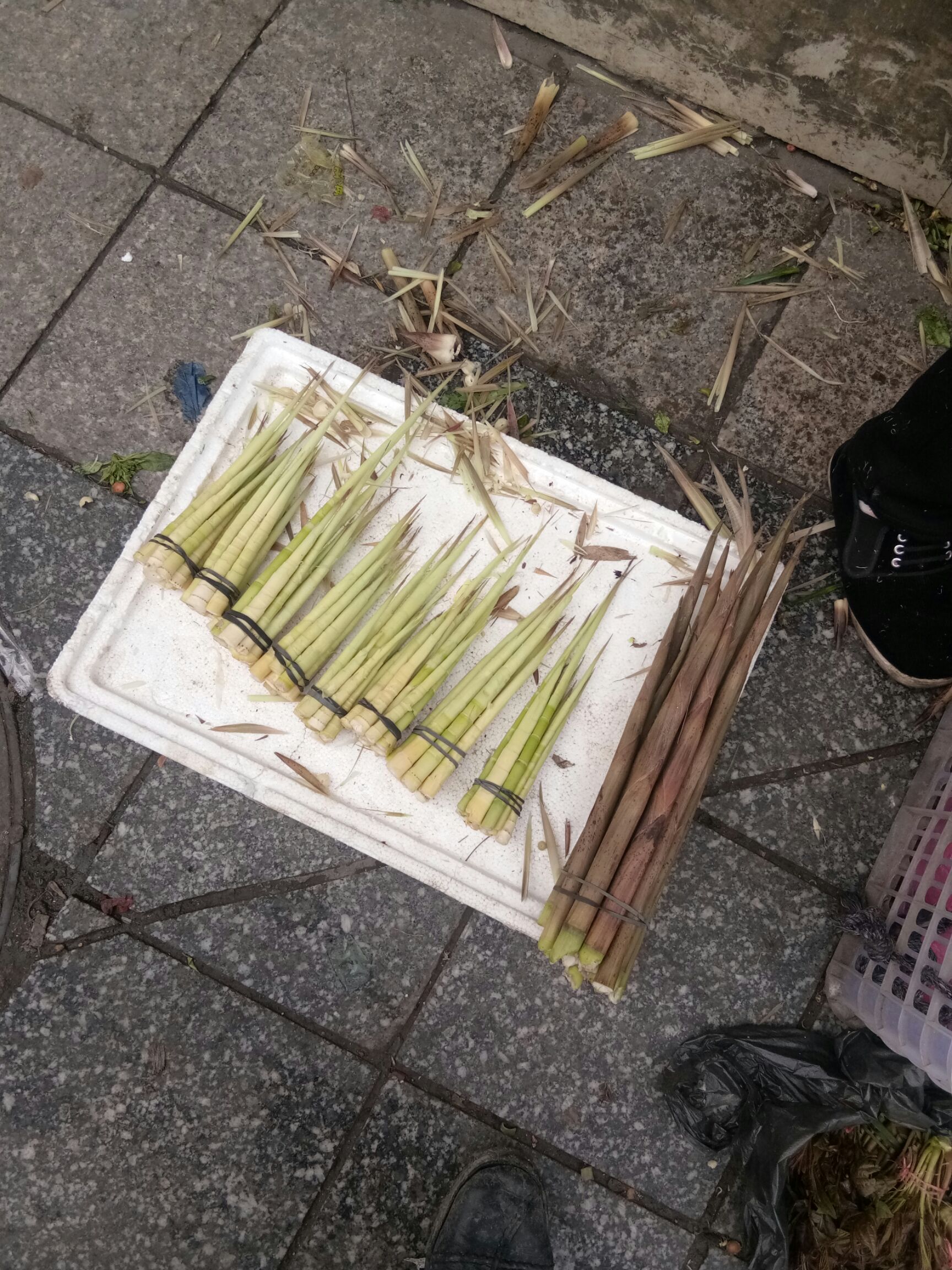 小竹笋  鲜笋 18673835538电话