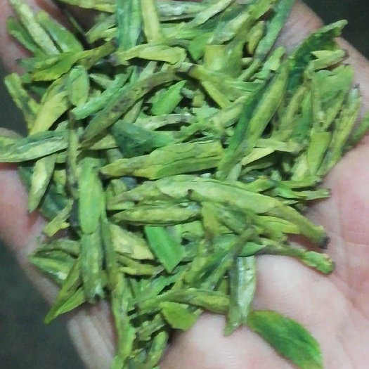新昌县新昌大佛龙井茶