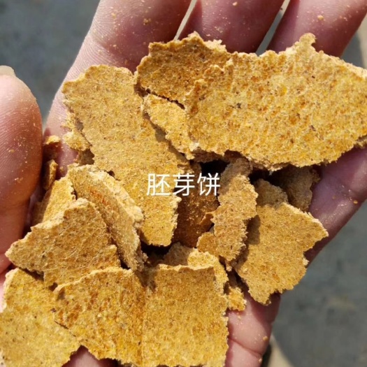 石家庄胚芽饼  玉米油饼