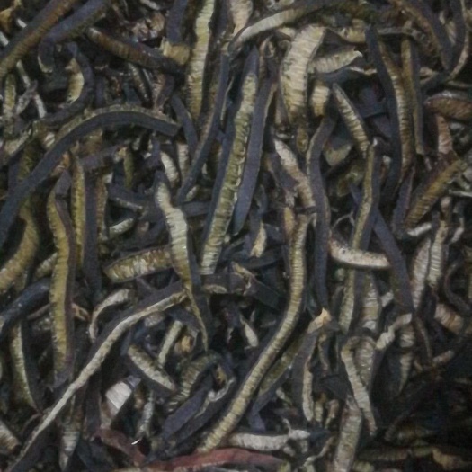 银川海茸海笋厂家一手货源