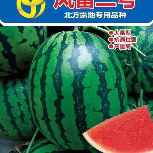沈阳地雷西瓜种子 产量特别高，特别抗病