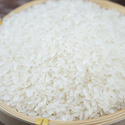 佛山珍珠米 一等品 晚稻 粳米