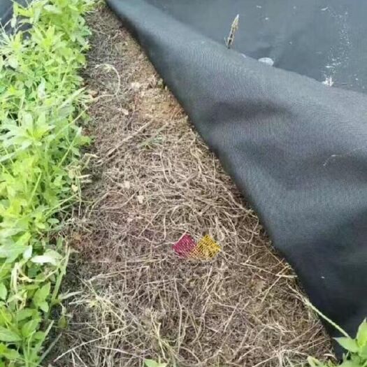 德州除草地膜