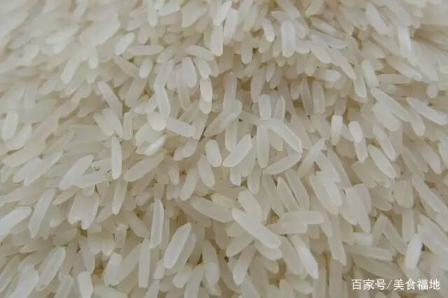 御贡香米 一等品 一季稻 粳米