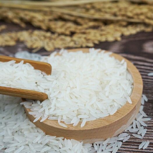 佛山泰国香米 一等品 晚稻 籼米