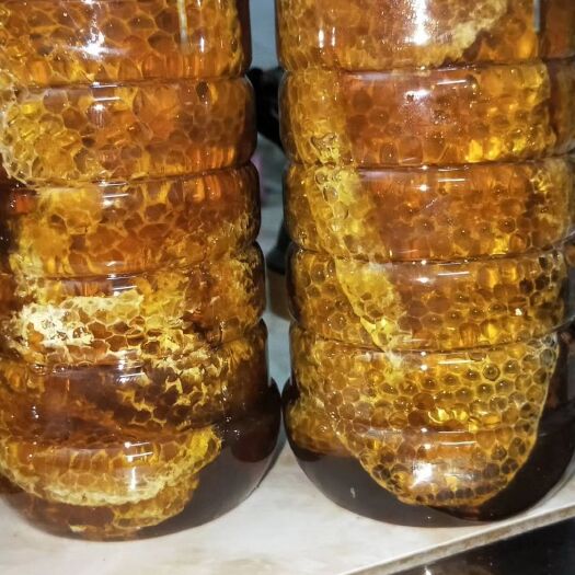 野生蜂蜜 塑料瓶装 2年以上 