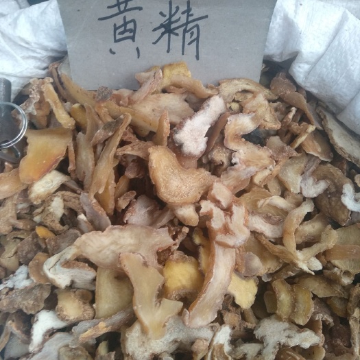 安国市鸡头黄精 片