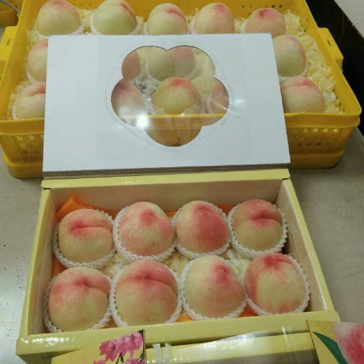无锡 阳山水蜜桃自产自销优惠供应