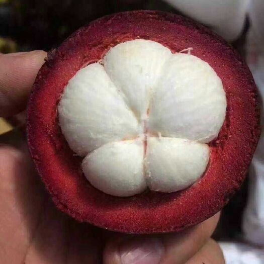 昆明泰国山竹