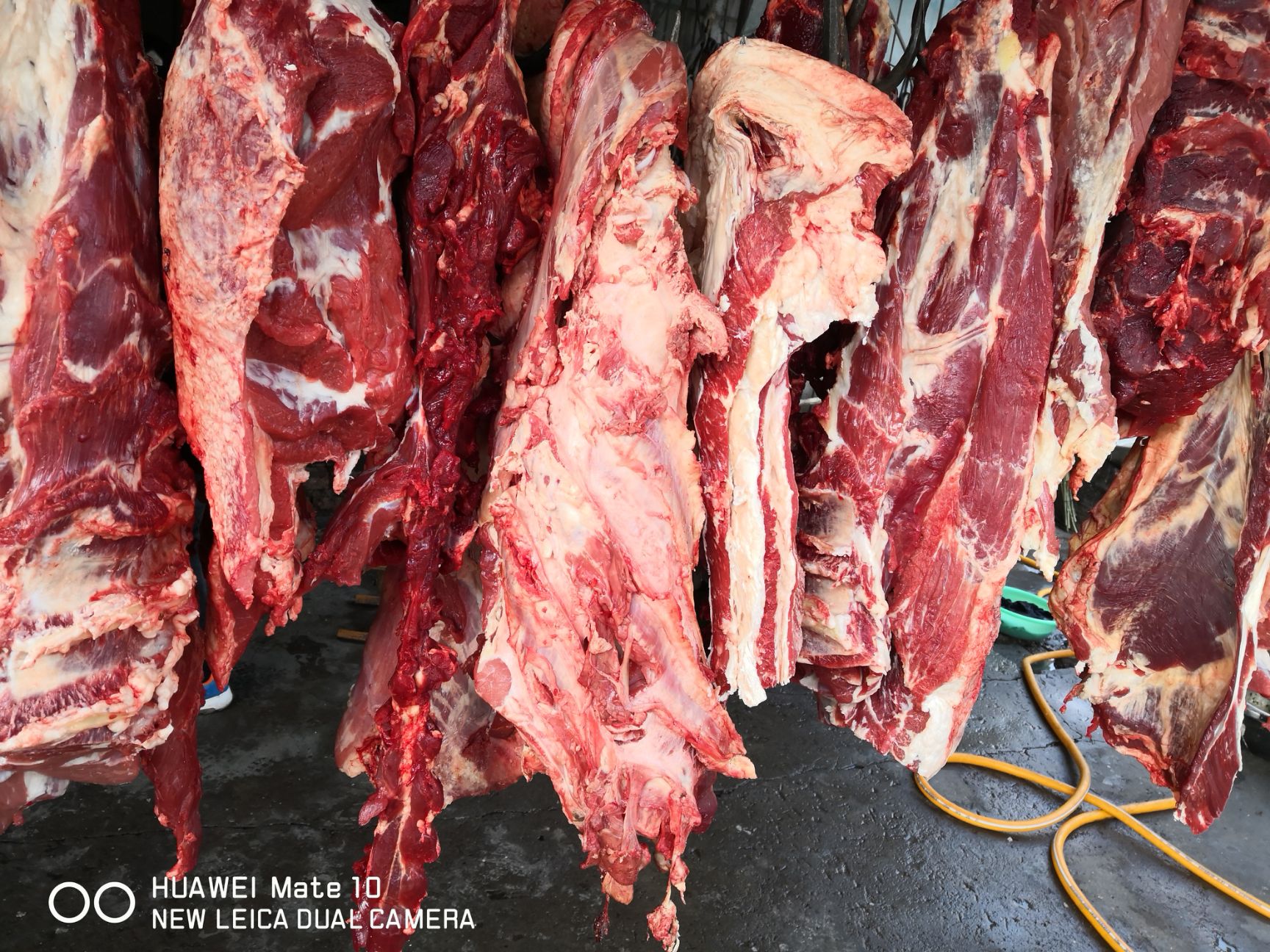 牛肉类 生肉