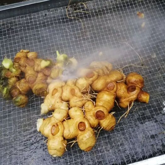 郴州姜形黄精 块