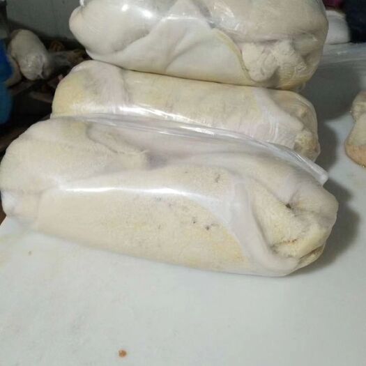 阳信县牛肚
