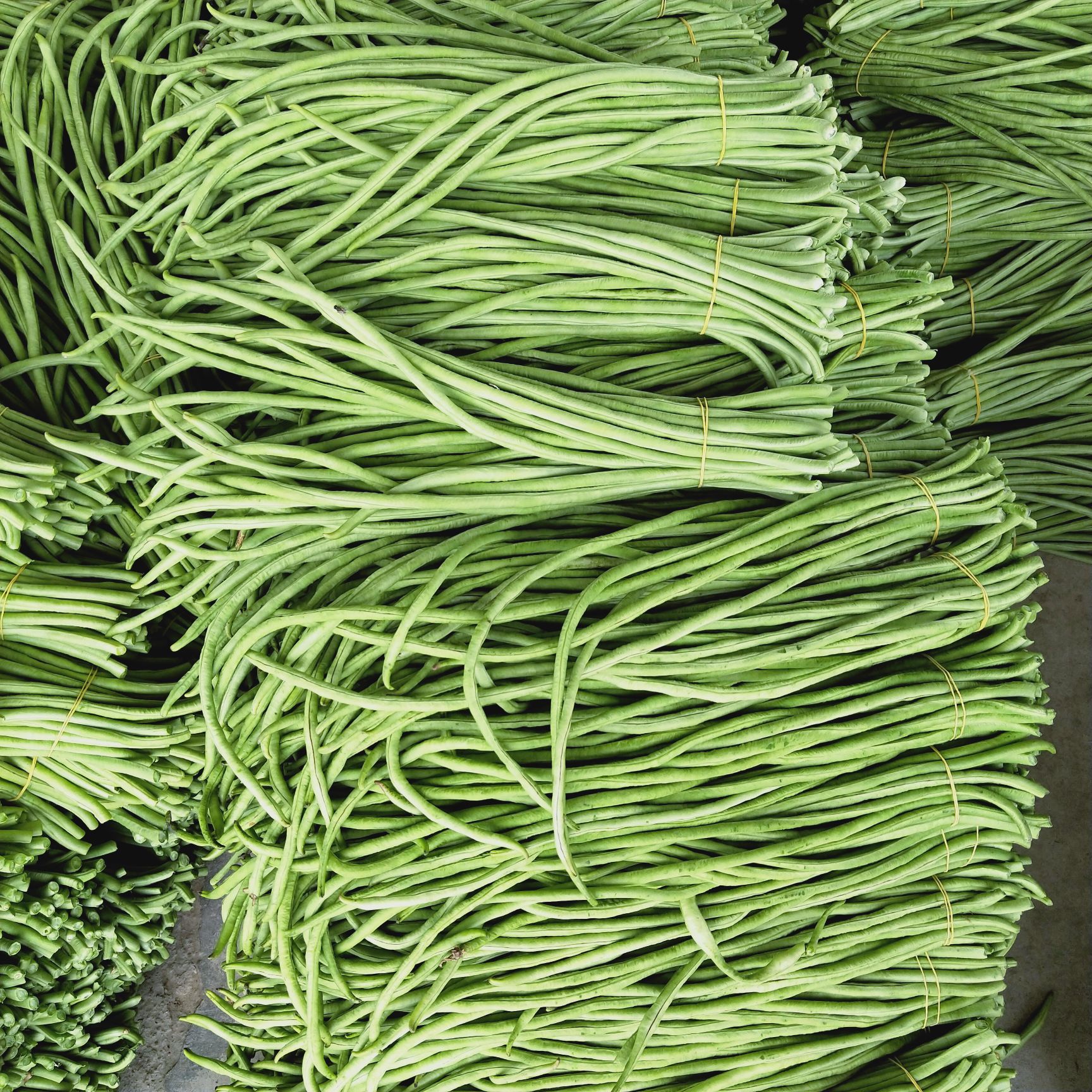 供应大厅  蔬菜 豆角 商家 身份认证: 经营模式:代办/代理人