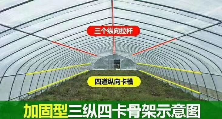 沭阳县钢管大棚  各种规格温室大棚量大从优
