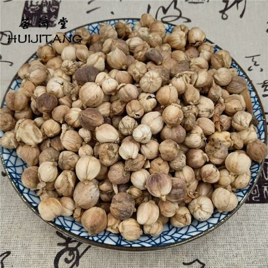 安国市豆蔻  包邮 白 调料卤料 开胃消食祛湿 产地广西