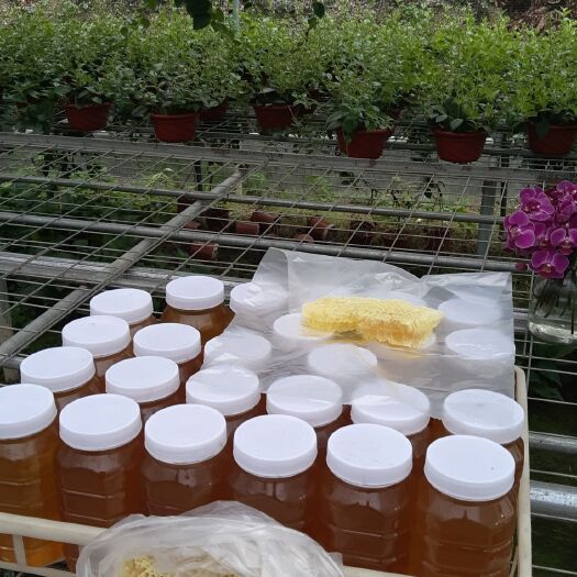 广州荔枝蜜 塑料瓶装 1年 80%以上