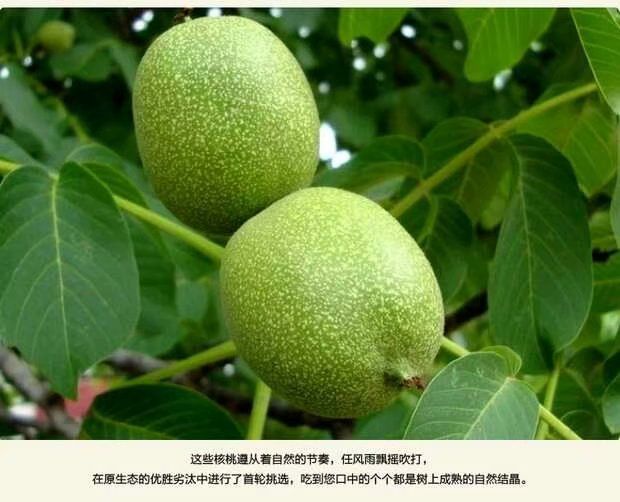 山核桃  陕西特产富平老树核桃 小孩 包邮