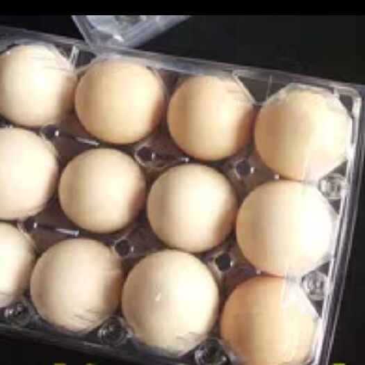 霍邱县土鸡蛋 食用 箱装