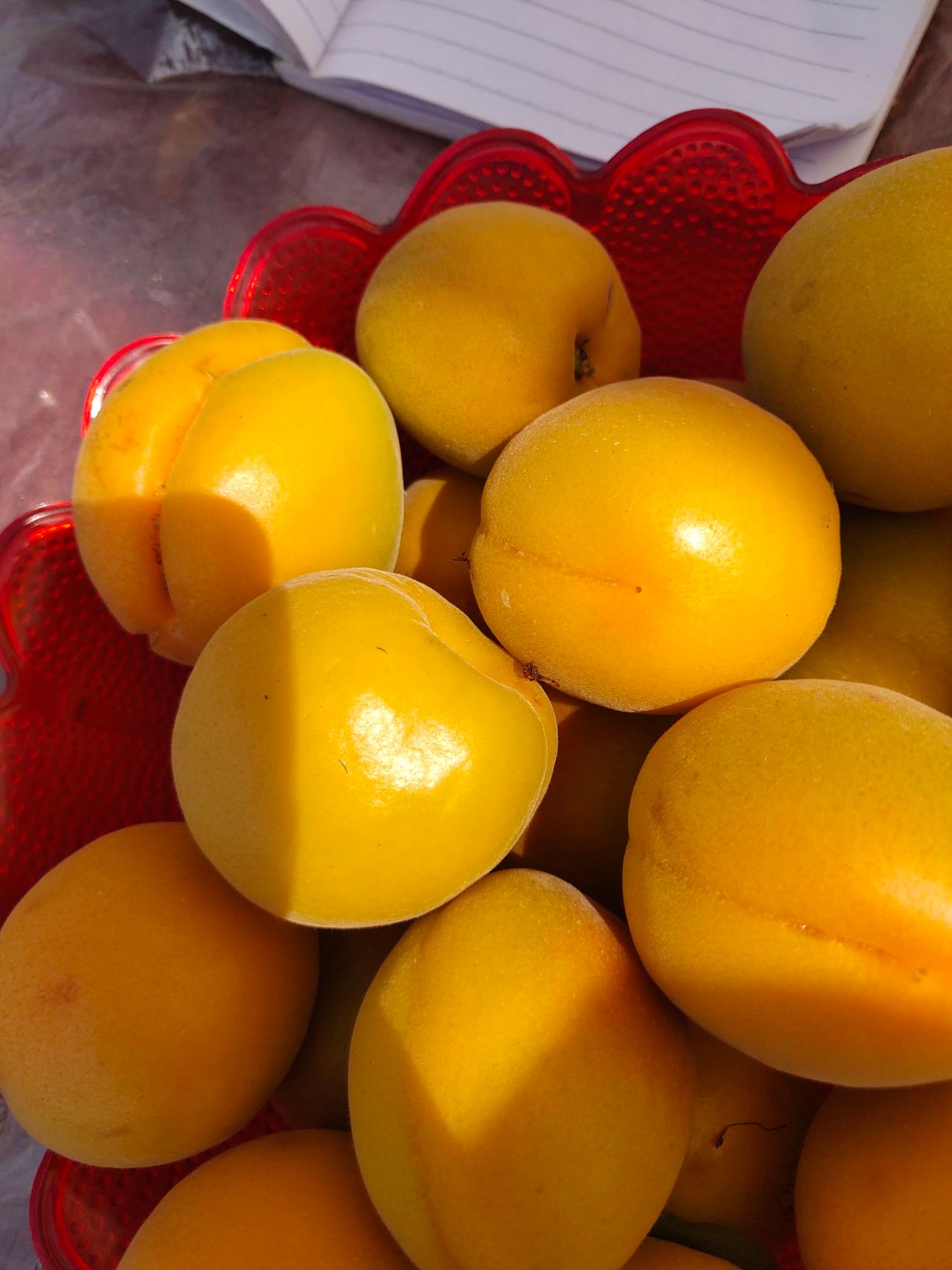 金太阳杏，凯特，大棚杏，产地直发，加工厂，市场，电商，超市，