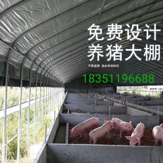 沭阳县钢管大棚  草莓大棚蔬菜大棚