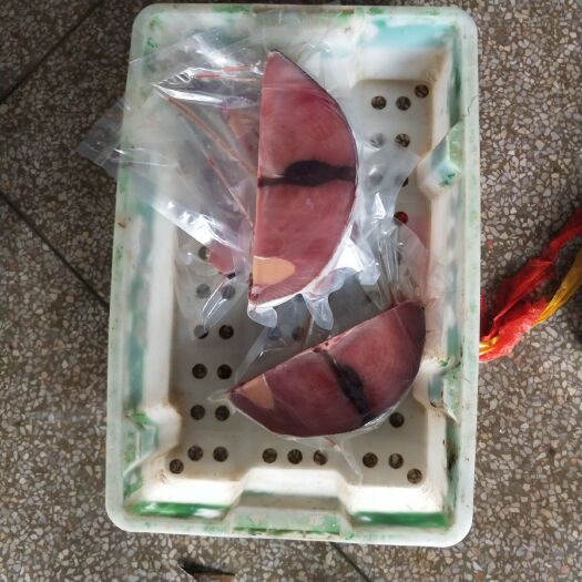 北海金枪鱼 片