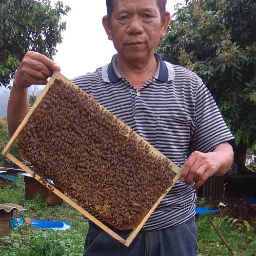 钦州荔枝蜜 品味天然好蜜，享受健康人生。