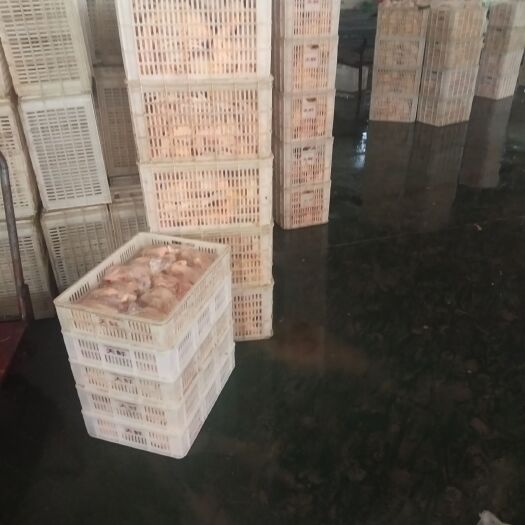威县白条鸡 新鲜