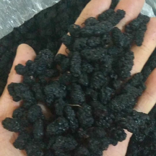 沧县红薯干 1年 条状 袋装