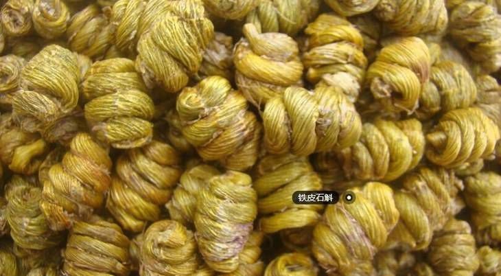 东阳市铁皮石斛