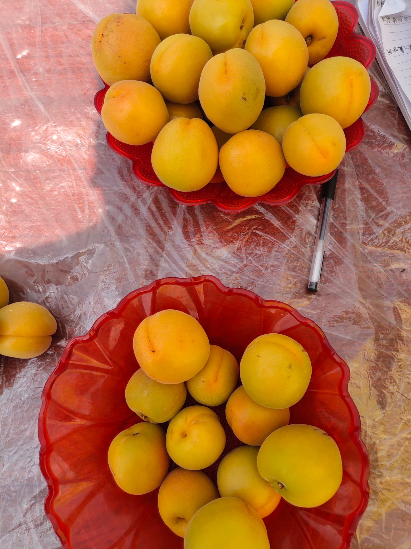 金太阳杏，凯特，大棚杏，产地直发，加工厂，市场，电商，超市，