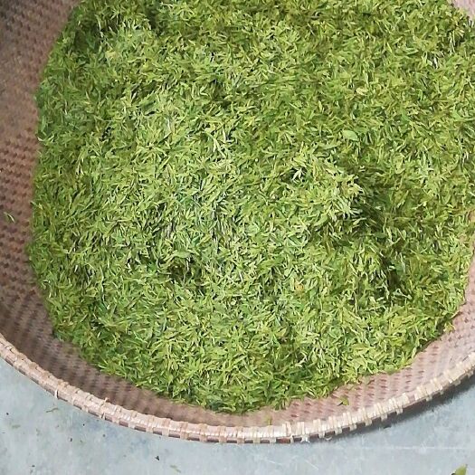 磐安县高山绿茶 特级 散装