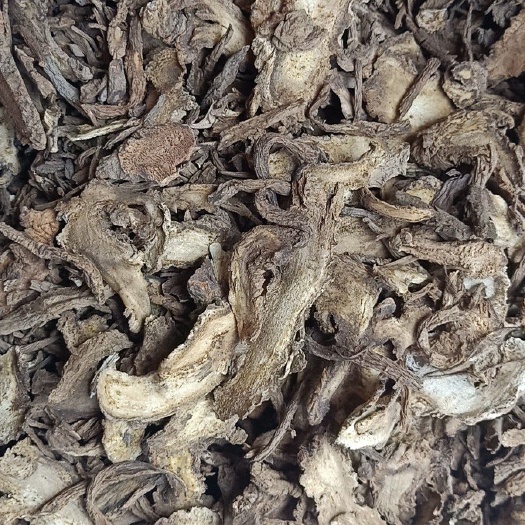 独活  中药材独活（经营各种规格中药材批发零售)